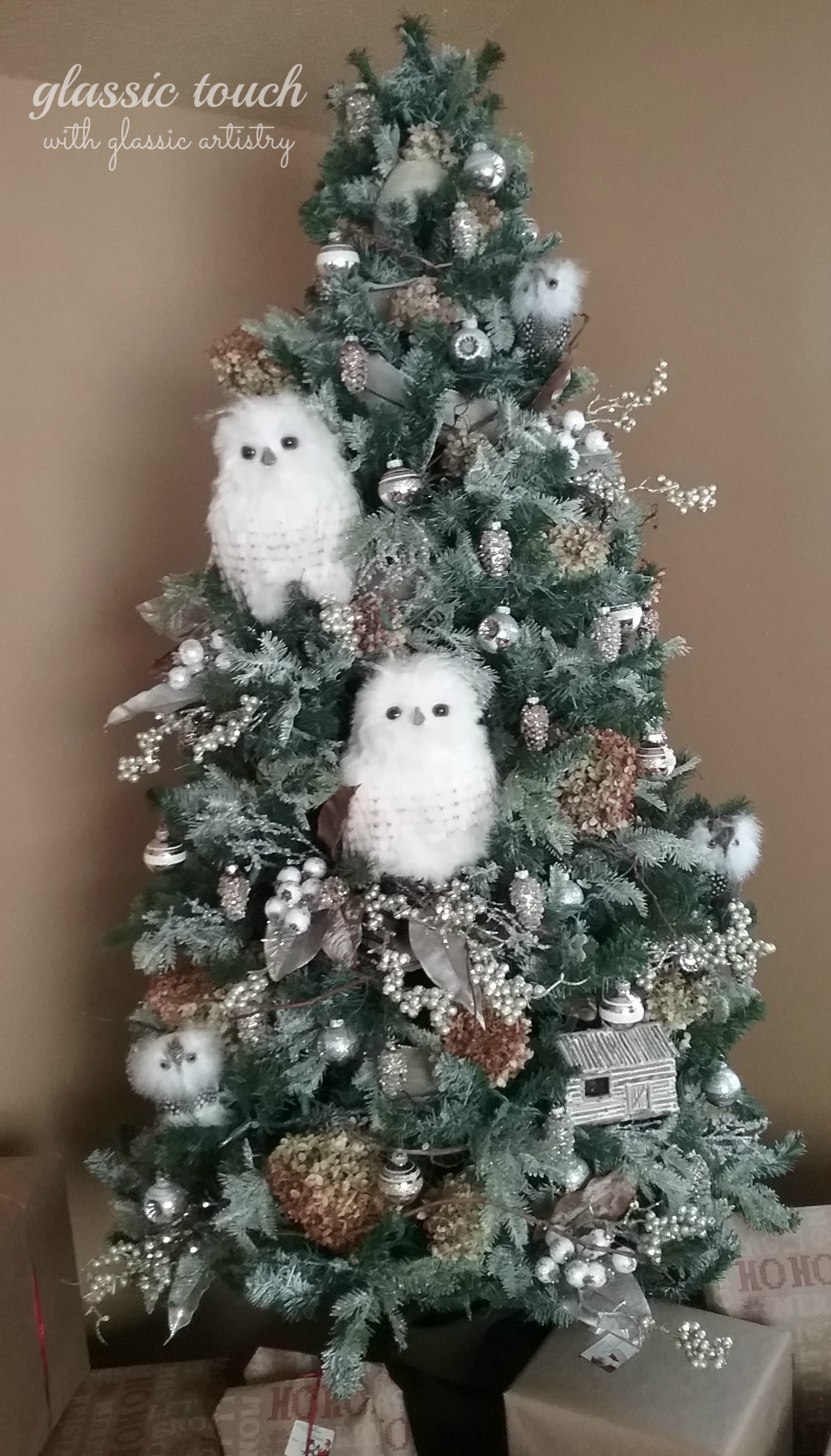 Owl Tree 2017